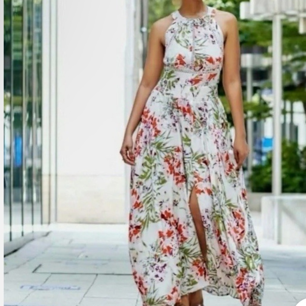 Anthropologie Abel the Label Vienna Flora Halter Maxi dress